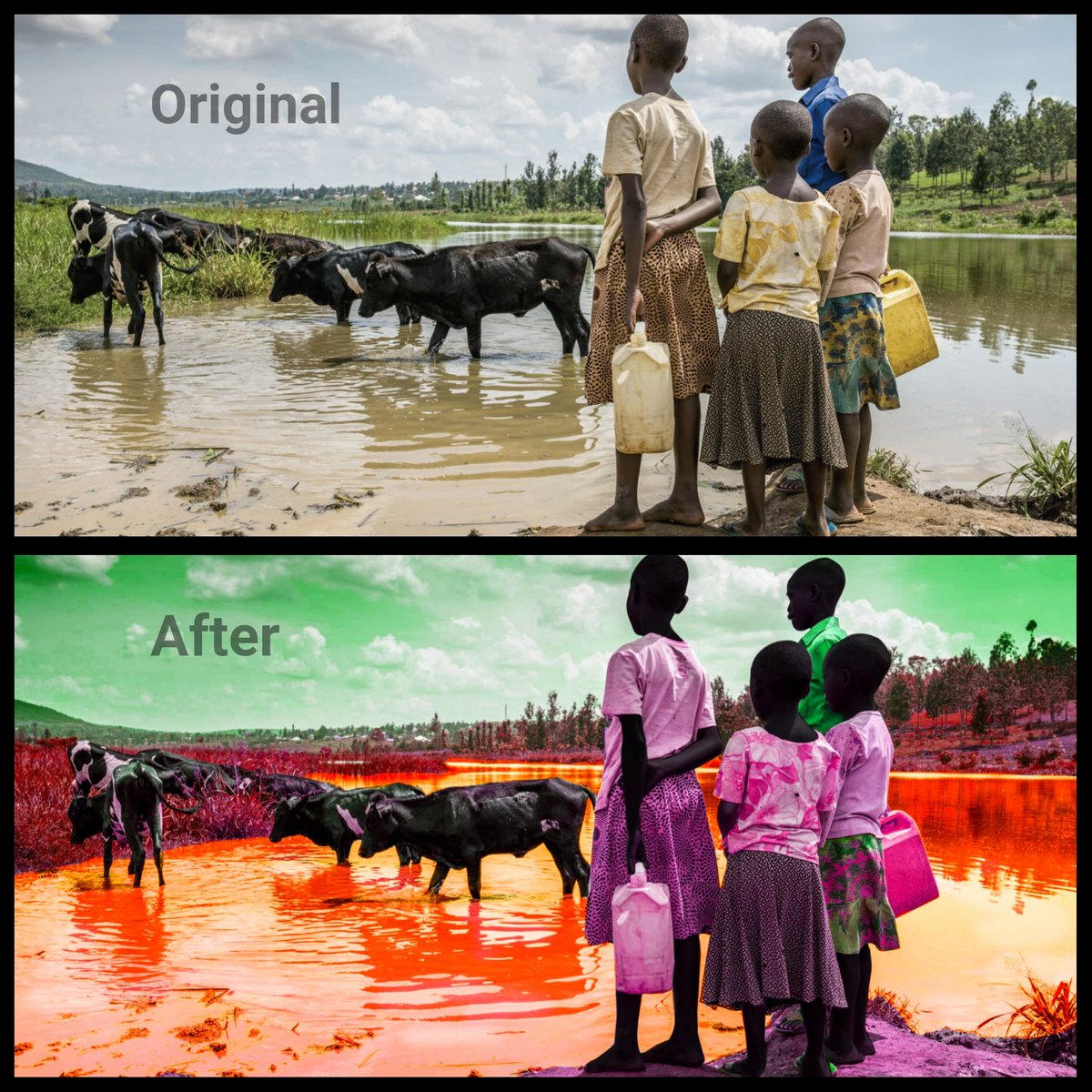 Worked on a class project themed on ' Environmental Degradation ' Picture source Jon Warren/ @WorldVision
I used @PrinceJyesi's creative form of color-saturated photographs to bring out the life in this picture.