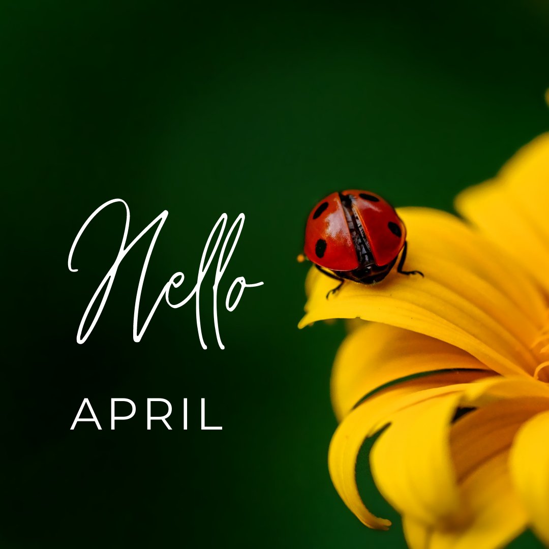 Hello April! 😍🌼 
#newmonth #newofferscoming #independentwineshop #loughborough #leicestershire #nottinghamshire