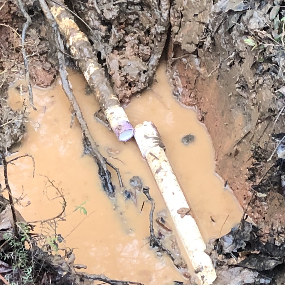 krispyfries_'s tweet photo. new homeownership speedrun %: underground water leak https://t.co/oLlhnNEG7m