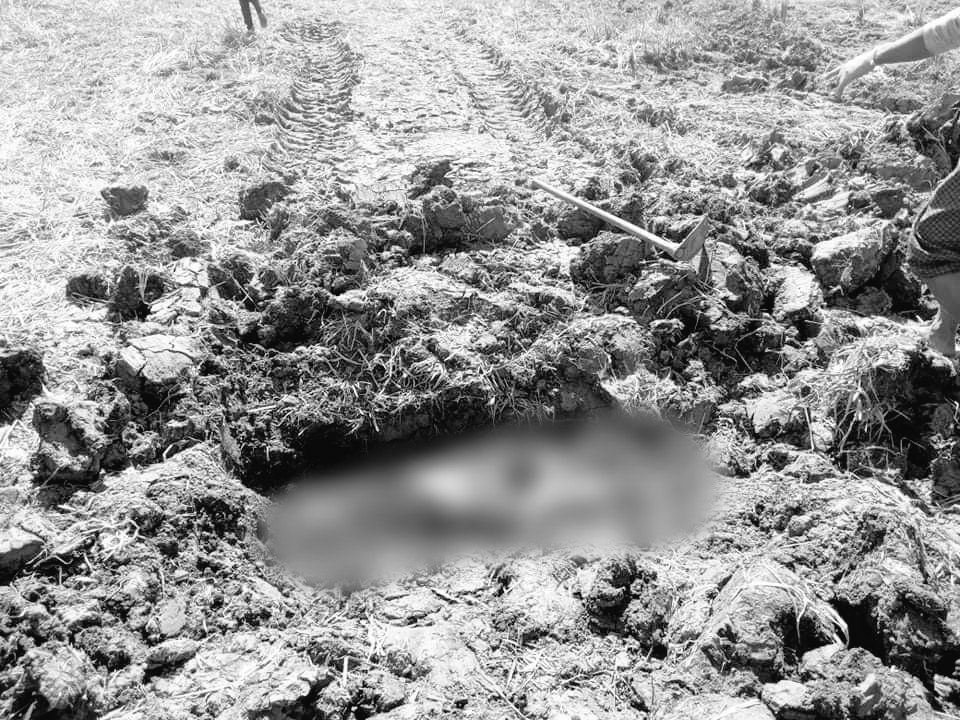 Milk Tea Alliance Myanmar 🇲🇲 tweet media