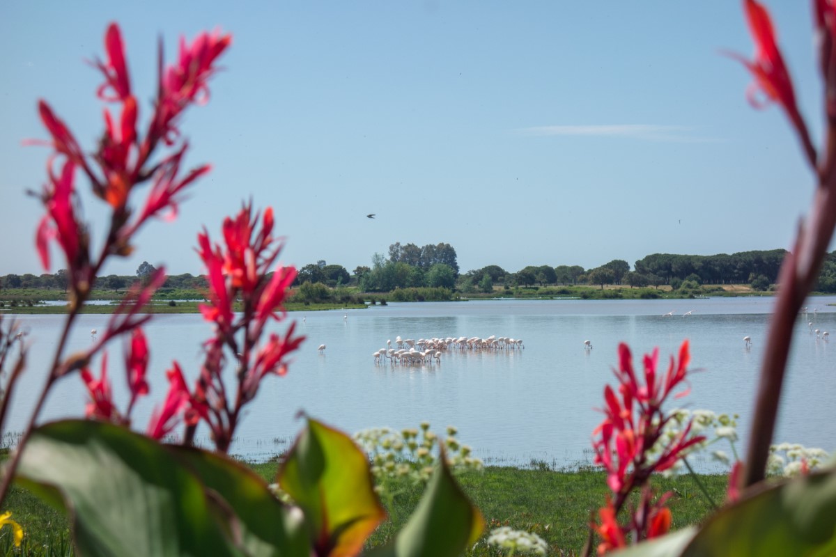 becool_travel's tweet photo. 📣 𝐋𝐀𝐓𝐄 𝐀𝐕𝐀𝐈𝐋𝐀𝐁𝐈𝐋𝐈𝐓𝐘 𝟏𝟔-𝟐𝟑 𝐌𝐚𝐲
𝐒𝐞𝐥𝐟-𝐆𝐮𝐢𝐝𝐞𝐝 𝐂𝐲𝐜𝐥e 𝐄𝐚𝐬𝐭 𝐀𝐥𝐠𝐚𝐫𝐯𝐞 
𝟕𝟔𝟓€/𝐩𝐚𝐱 𝐢𝐧 𝐝𝐨𝐮𝐛𝐥𝐞 𝐫𝐨𝐨𝐦

Shake off those winter blues! 🚲☀

https://t.co/9Y4tluzexj

#lateavailabilityeastalgarve #cyclingeastalgarve #becooltravel https://t.co/gbVCh3G37Q
