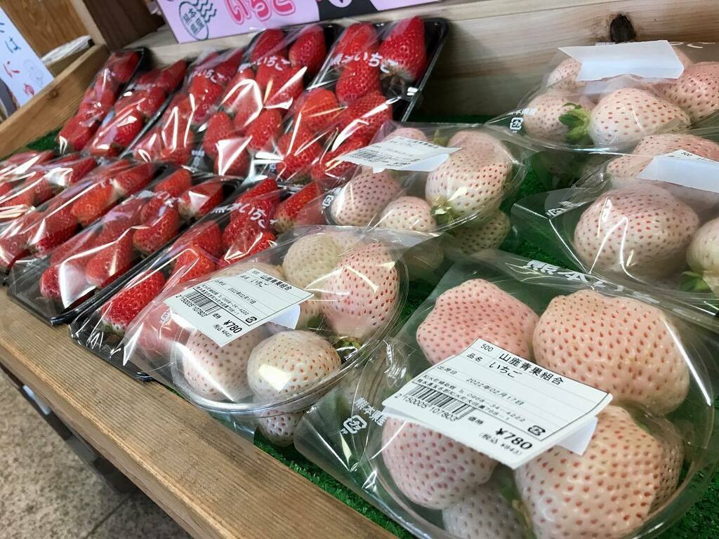 三加和温泉なごみ乃湯 tweet media