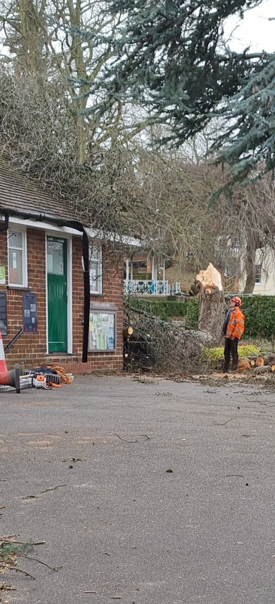 brianmatthews22's tweet photo. @surreylive tree down in Castle grounds #stormeunice #guildford https://t.co/c5UaTmm8FQ