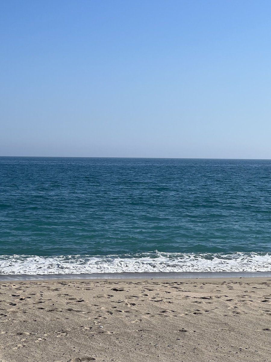M_Aseret's tweet photo. Res com fer un entrepà prenen el sol al febrer en una platja deserta #ThisIsLive https://t.co/nkLtdzNQg4