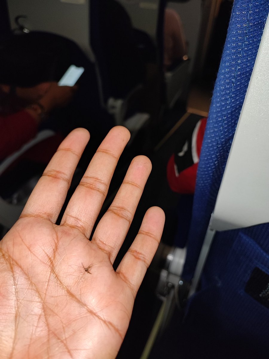 ashish_pri's tweet image. Dear IndiGo, @IndiGo6E
Flight to Bangalore 6E 178 is full of mosquitoes. Traveling on 18-Feb-2022. 
#IndiGo