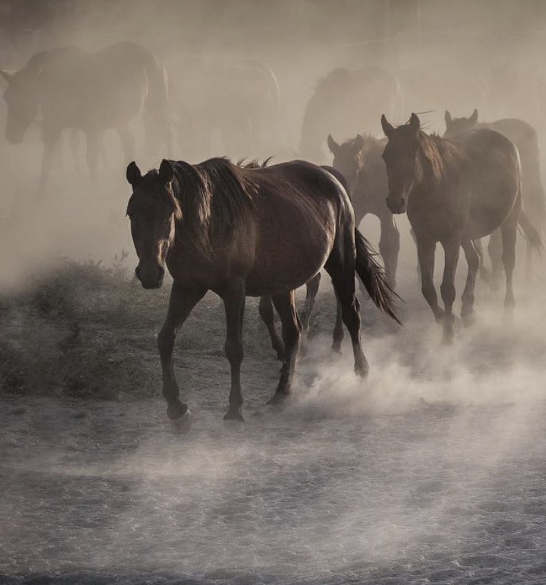 Than all the good man had gone… #NFTCommumity hi ✋🏻