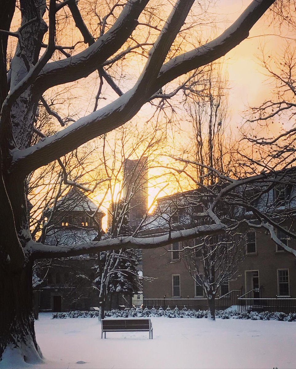 Melinda Scott tweet media