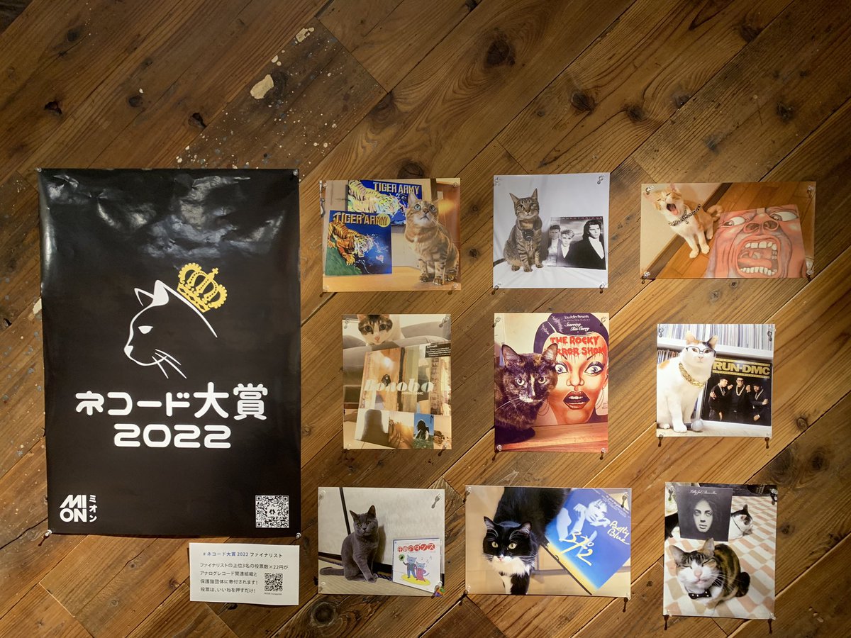 tsutaya3k_event's tweet image. #三年坂ねこフェス2022 
ネコード大賞2022
ファイナリスト9点の掲示も行っています！
いいねの数で募金額が変わります！
ぜひ応援して下さい🐱

instagram.com/mion.tokyo?utm…

#MION #ネコード大賞