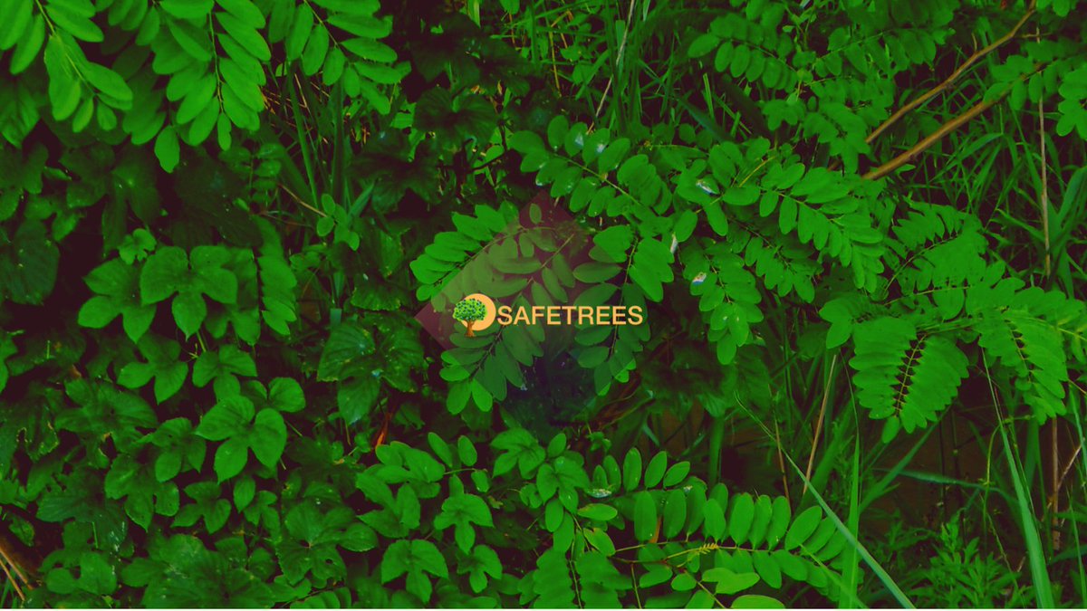Trees_token's tweet photo. The true meaning of life is to plant trees, under whose shade you do not expect to sit. Join us: https://t.co/NTAePblc0z
@gate_io
#trees2gate
@BinanceBCF
@SBF_FTX
#TreesArmy #TreesApp https://t.co/lIx1IHiwtG