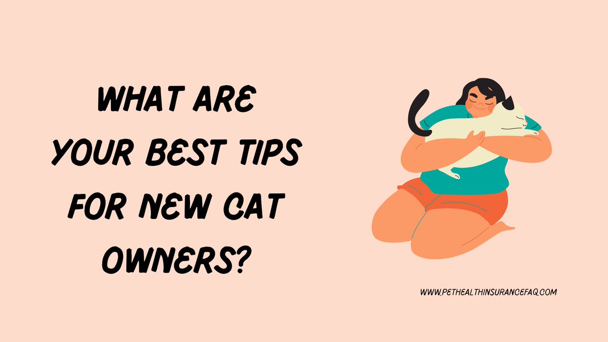 petfaq's tweet photo. #catsoftwitter #cats #tips #petcare https://t.co/7Ks58NW9kc