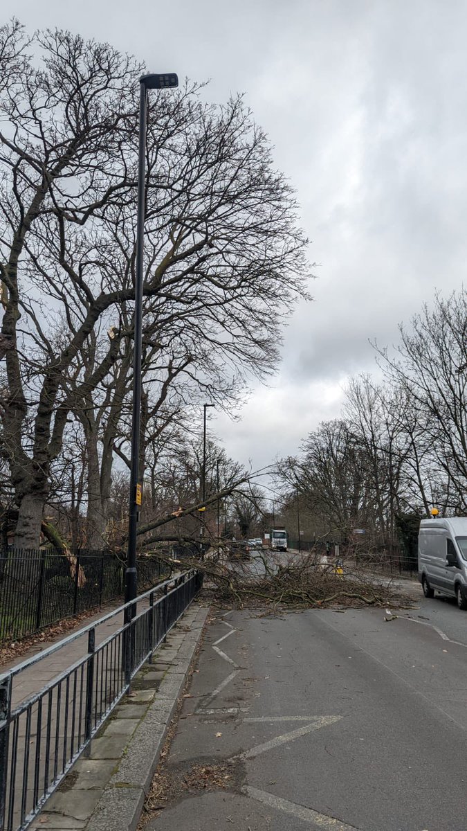 Fairly Amy tweet media