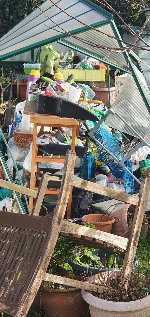 Katerina tweet media