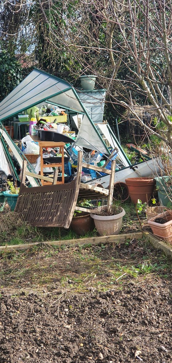 Katerina tweet media