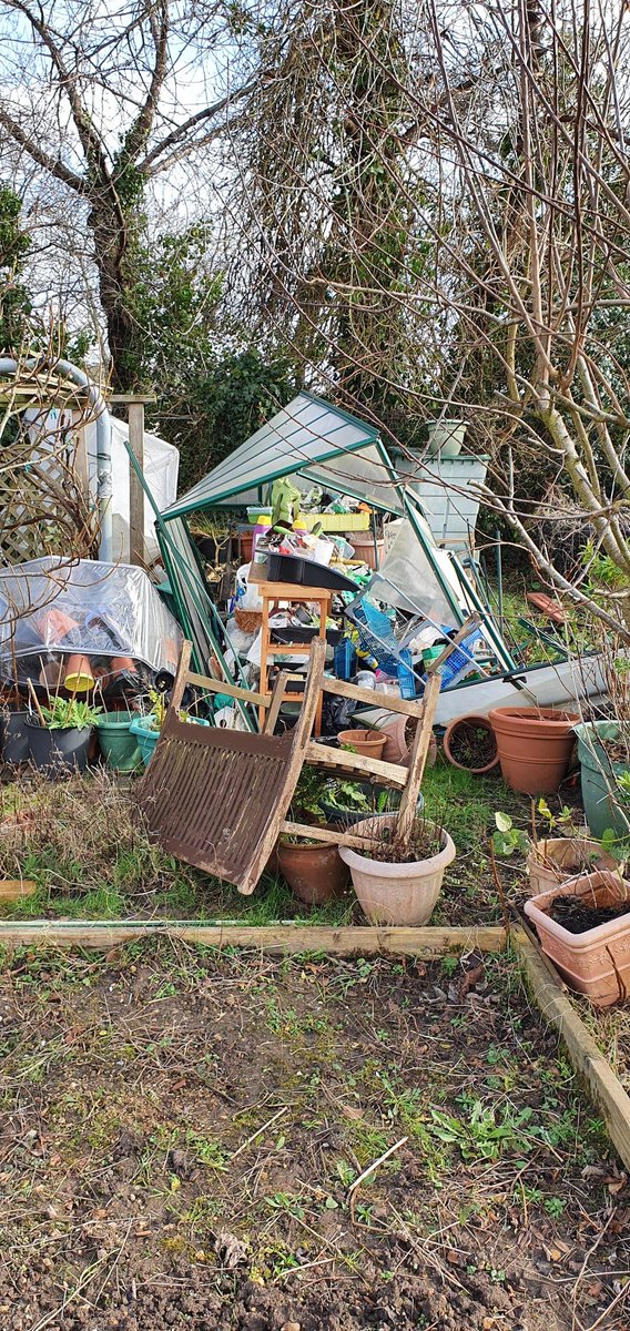 Katerina tweet media