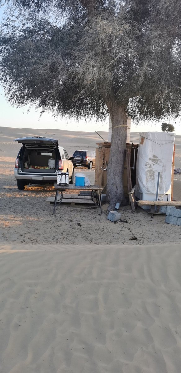 SheikhBard's tweet photo. welcome to my desert habibis https://t.co/kR7fIzAZRK
