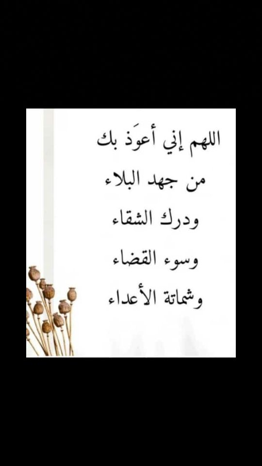 اللهم صل وسلم على نبينا محمد