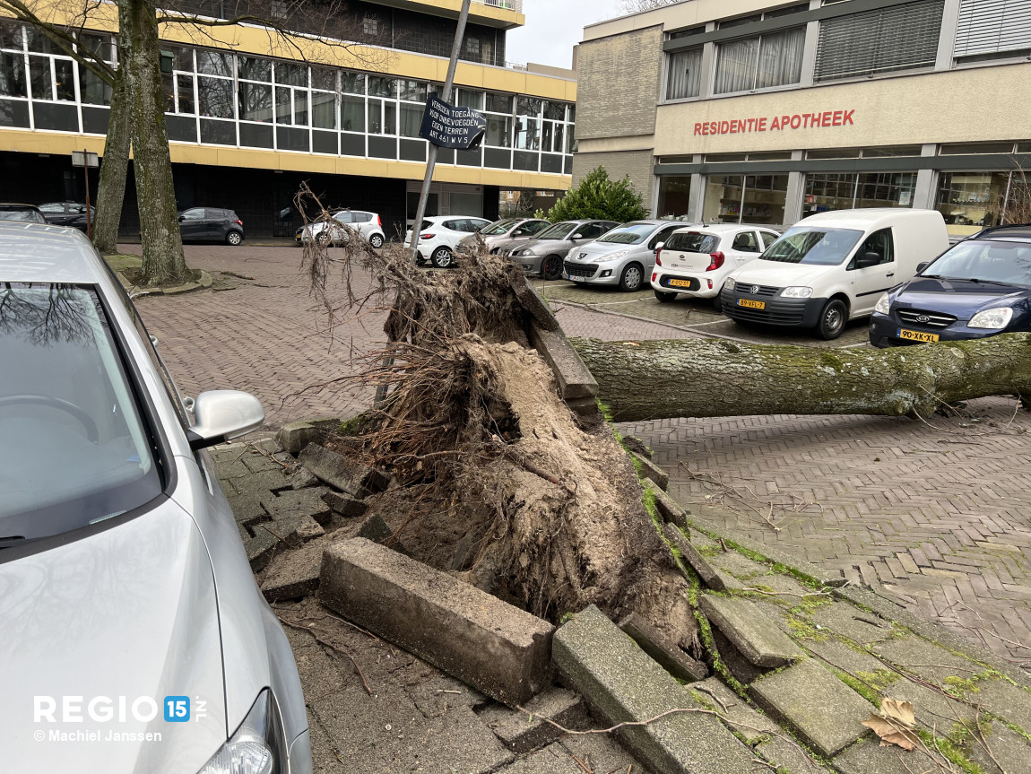 Op #HetKleineLoo in #DenHaag viel een boom om op een parkeerplaats, vlakbij het pand van de apotheek. Zie het item over de gevolgen van storm 'Eunice regio15.nl/nieuws/hulpver…