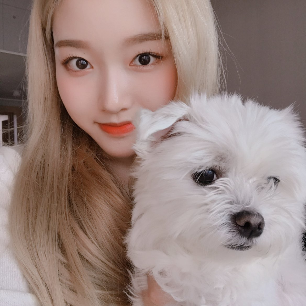 gowontini's tweet photo. OMG https://t.co/U40if5mKvA