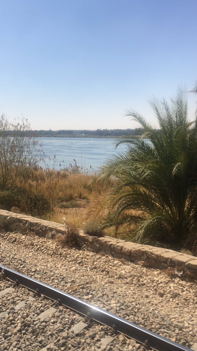 Afafadel20's tweet photo. Aswan 🥰♥️ https://t.co/fe1MWFuTNt