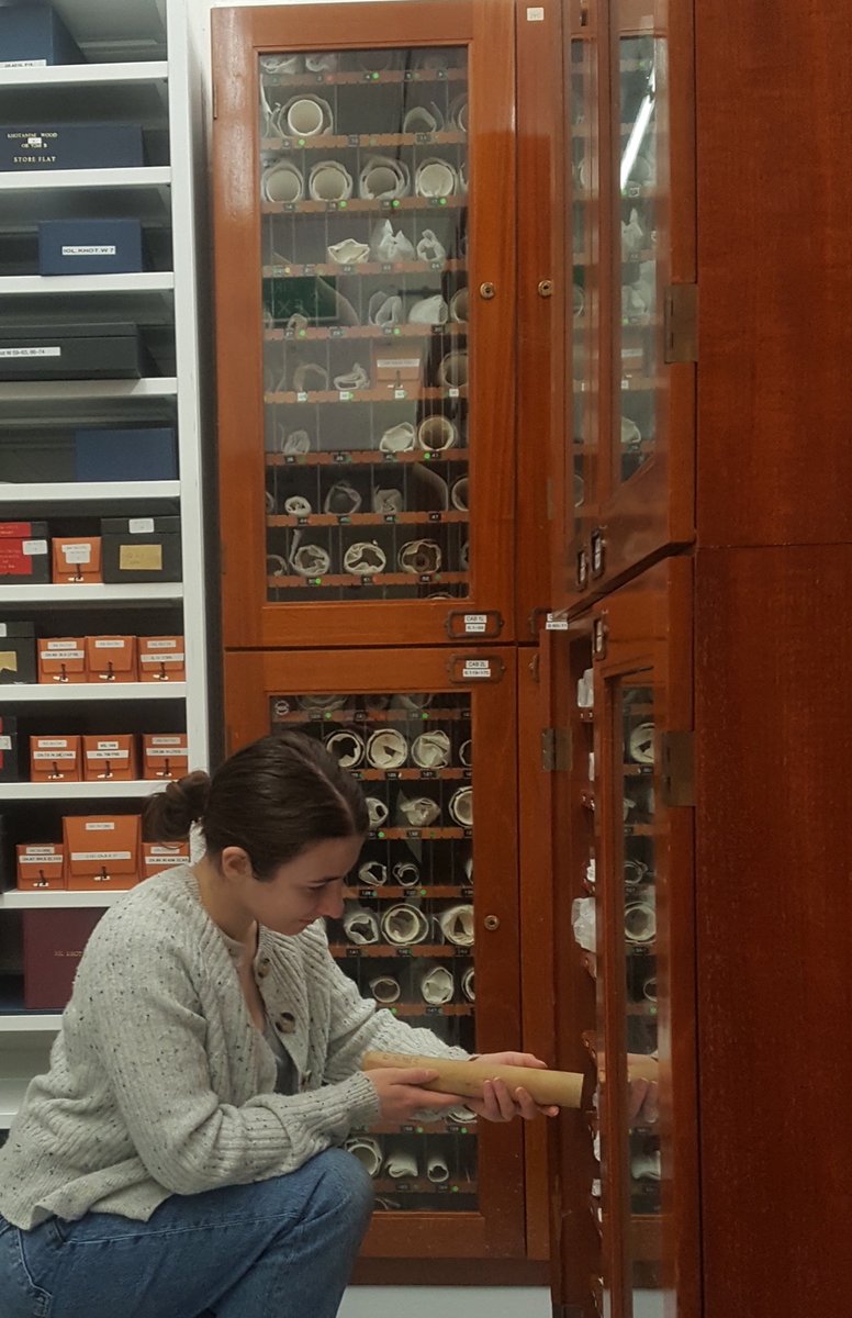 idp_uk's tweet photo. #SpotTheDifference 📜 100 years on, the storage techniques might have changed, but our Preservation Assistant still checks scrolls by hand to monitor condition and location. Thankfully no candles are involved! 🕯️ https://t.co/kTAwiAhMgD