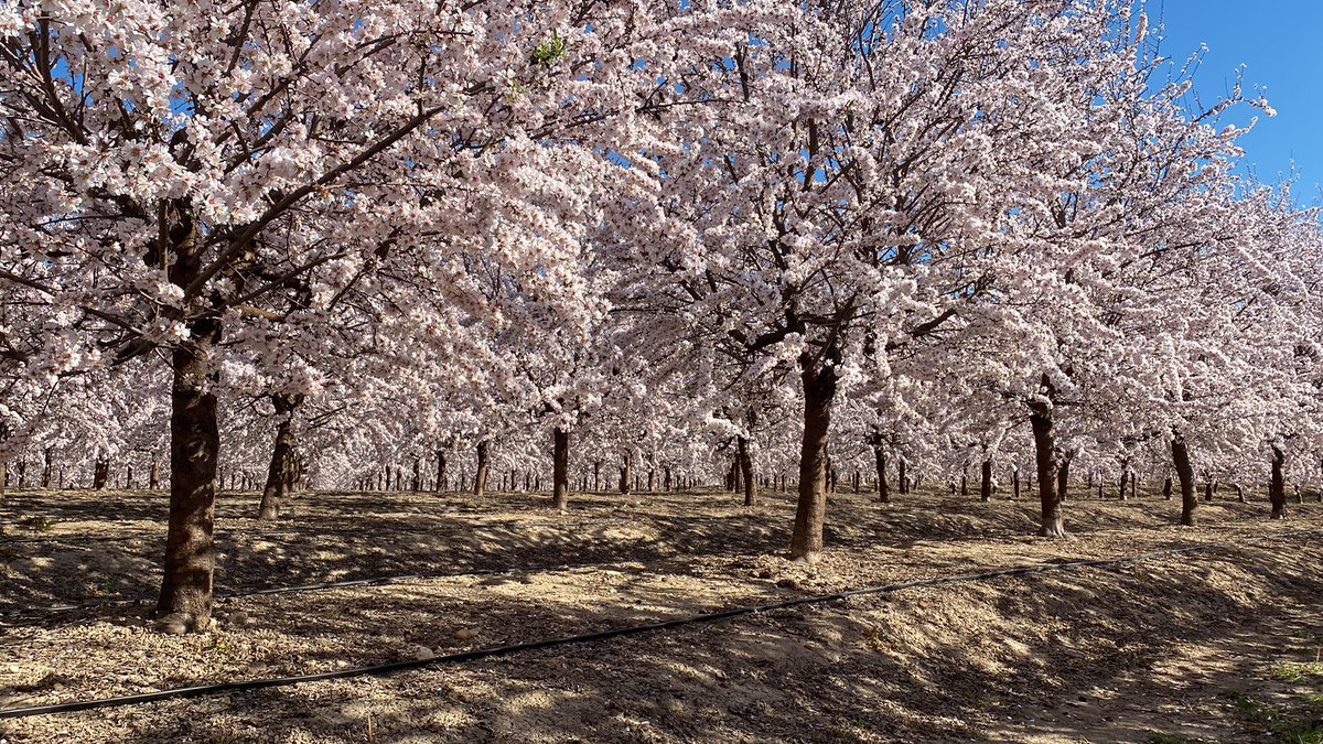 Hoy cumplen 5 añitos justos