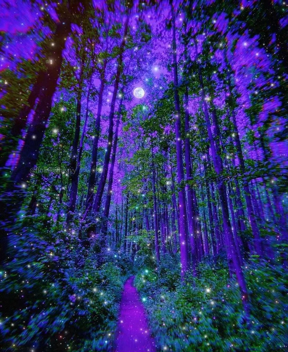 HaikuJAM tweet media