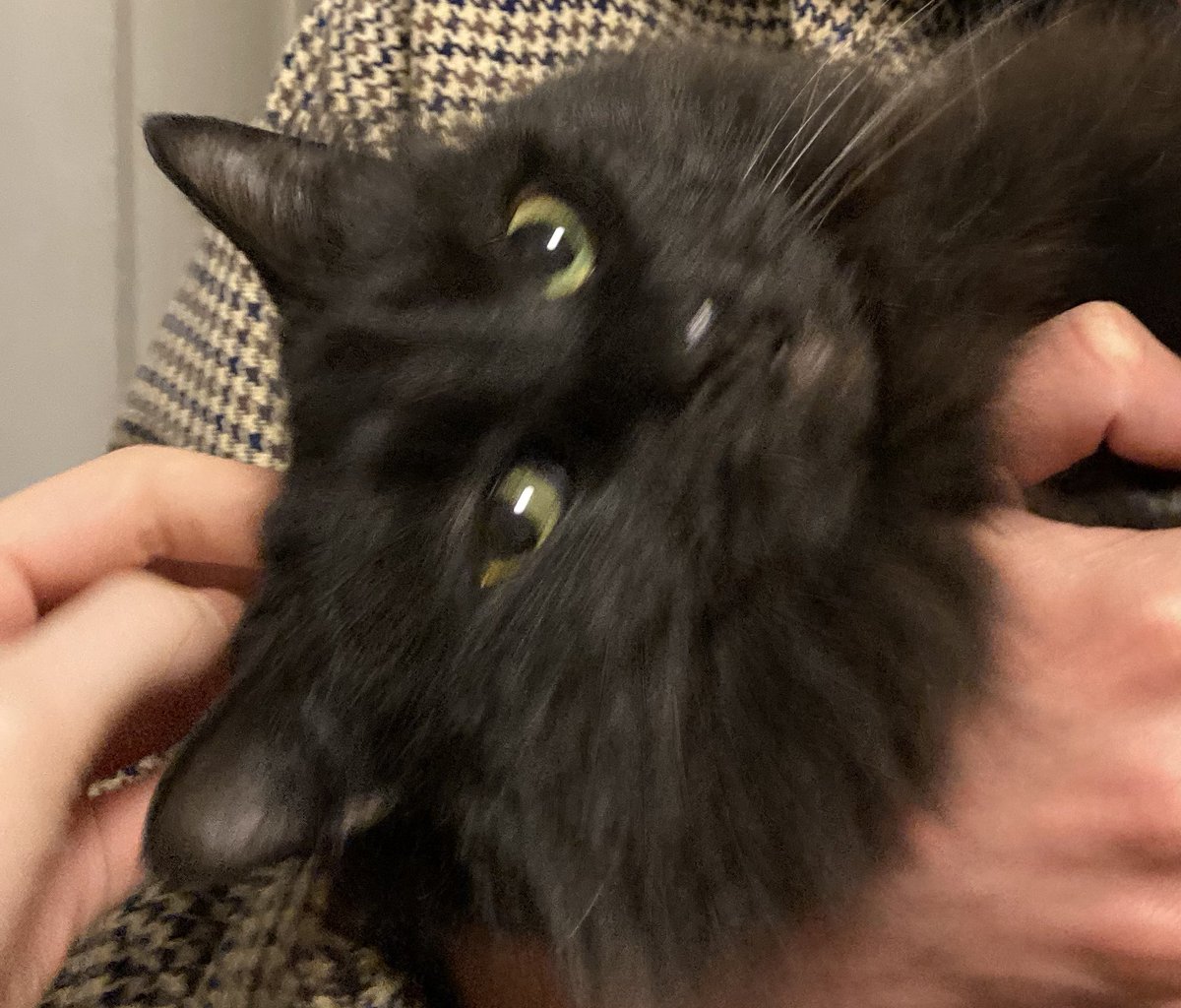 𝔱𝔥𝔞𝔫𝔎 𝔤𝔬𝔡 𝔦𝔱’𝔰 𝔣𝔯𝔦𝔡𝔞𝔶! tweet media