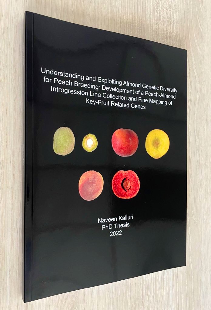 PhD Thesis❤️✅. Whaaat a feeling to finally hold the thesis in hand, recalls so many moments over the years that lead to this day. Definitely one of the most awaited days. One more step to go!!!😊 <a href="/CRAGENOMICA/">CRAG</a> <a href="/irtacat/">IRTA</a> <a href="/UABBarcelona/">Universitat Autònoma de Barcelona</a>