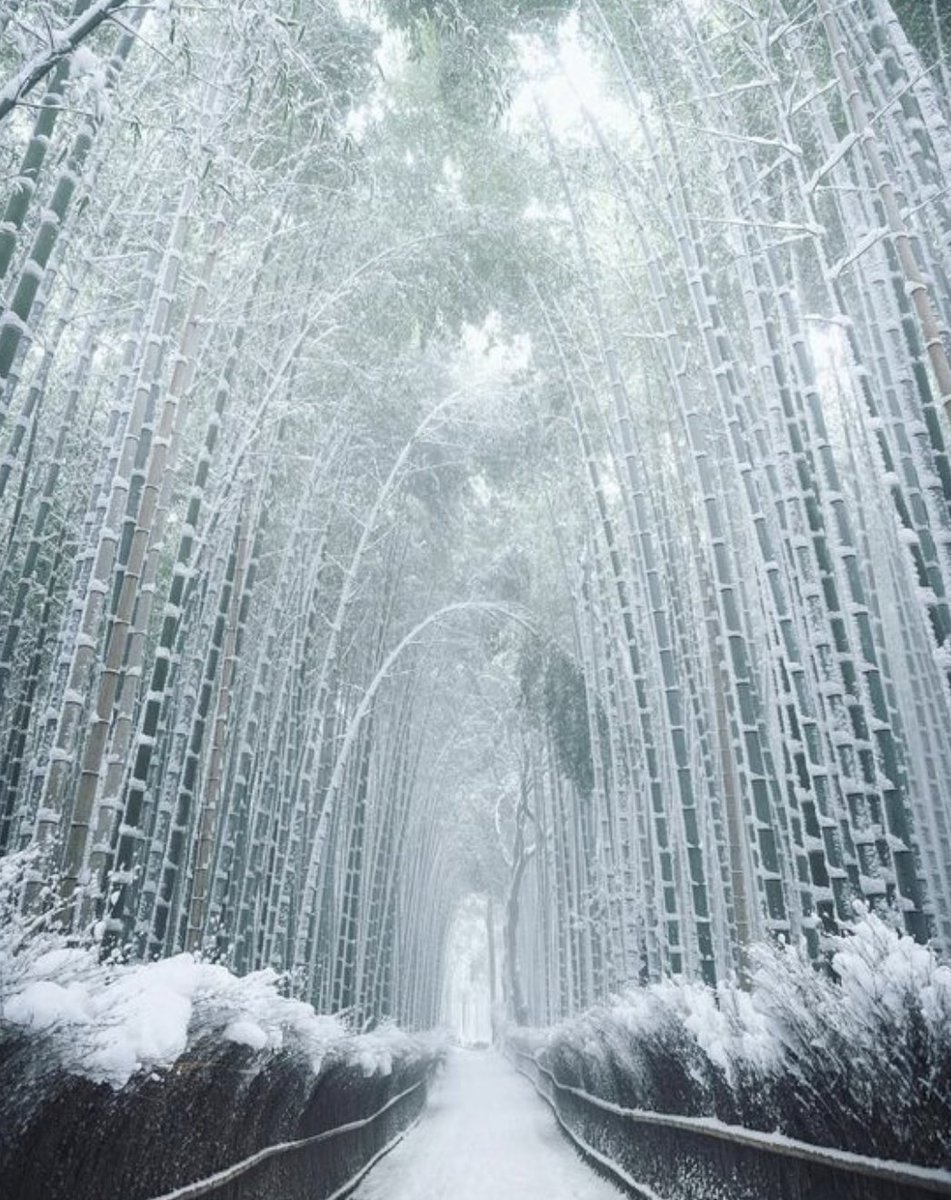 世界の絶景 tweet media