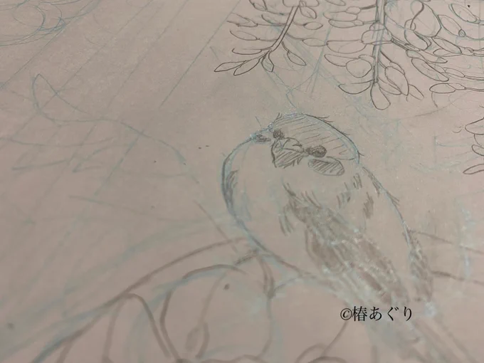 ここ2週間くらい停滞しておりましたが、ようやく始動しました🙆‍♀️ 