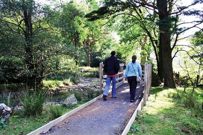 Access The Outdoor Guide tweet media