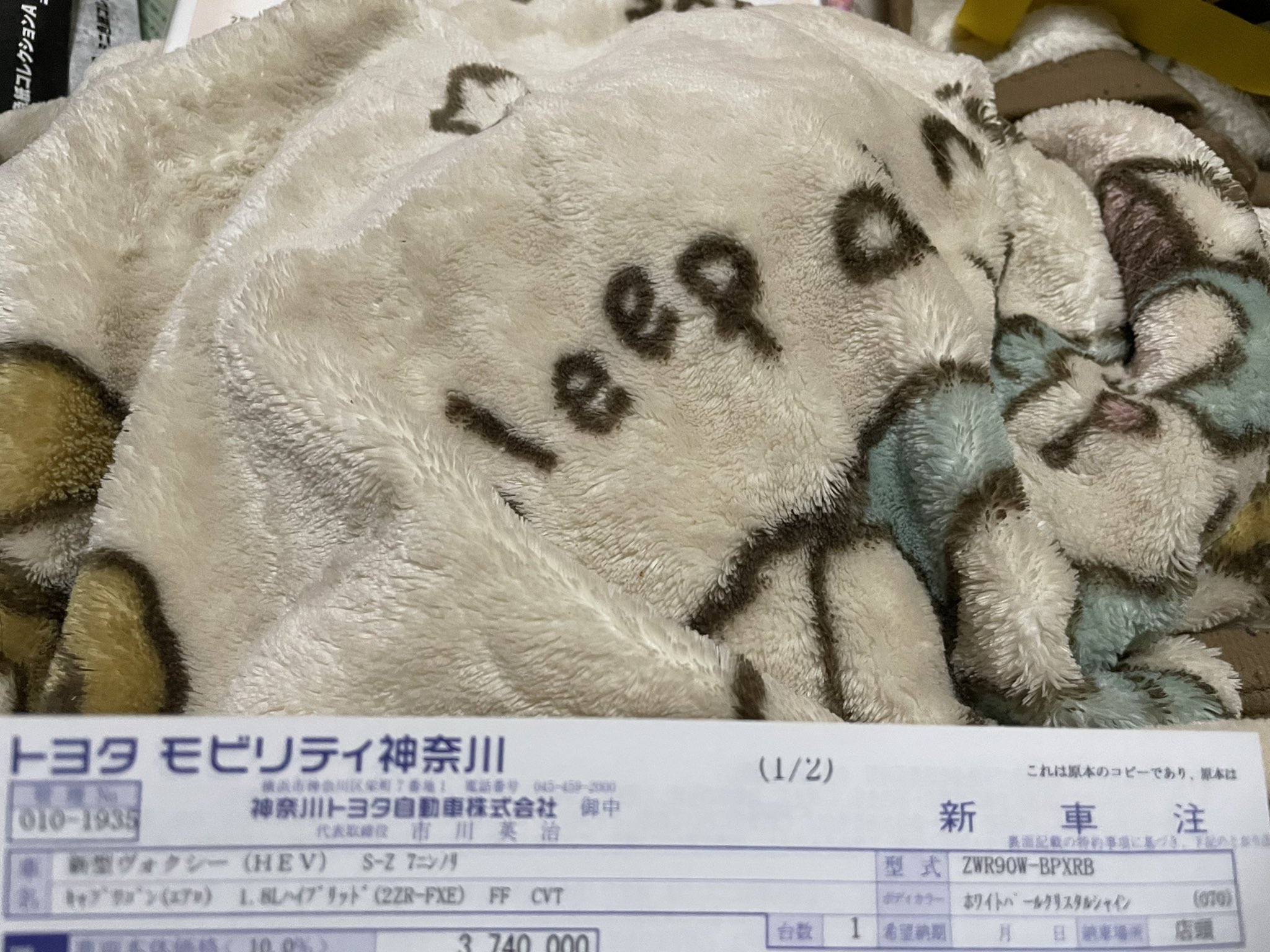 瑠希亜 新型ヴォクシーハイブリッドの一番ランクの上のやつで オプション全付け 更にエアロパーツ全付けで この金額になりました でも 納車は早くて7月 遅くて8月と 今の車ハイオク車だし ガソリンの価格は上がる一方だから ハイブリッド車が