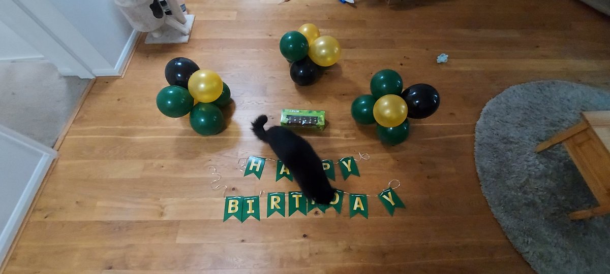 kchristokrav's tweet photo. @Gade_WPA @Ver_WPA @Bulbourne_WPA @Chess_WPA @Mimram_WPA @Wye_WPA @MisbourneWPA 
Darcy wanted to join in the celebrations of Waterside too 💚 https://t.co/m7OYSktHwx