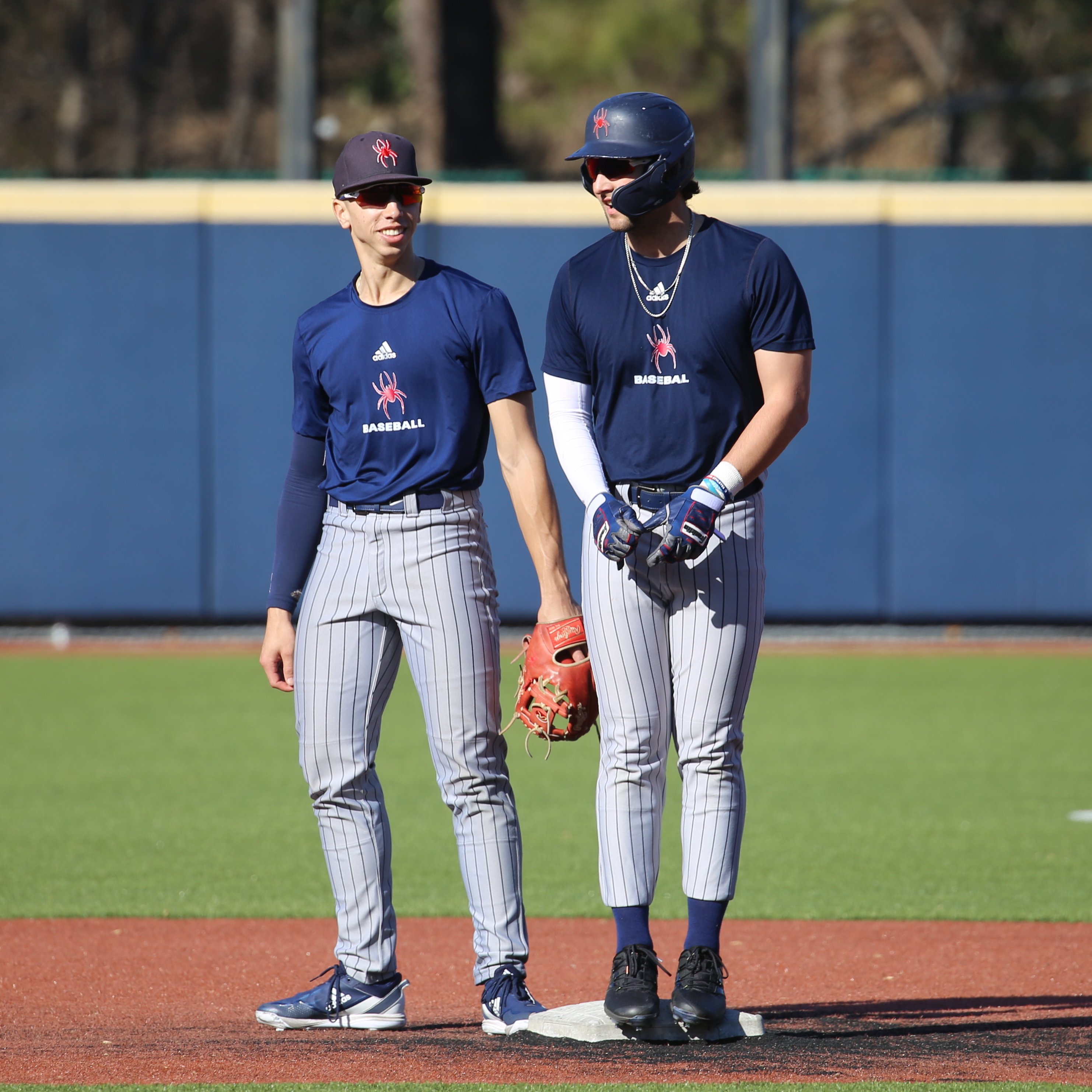 Richmond baseball online