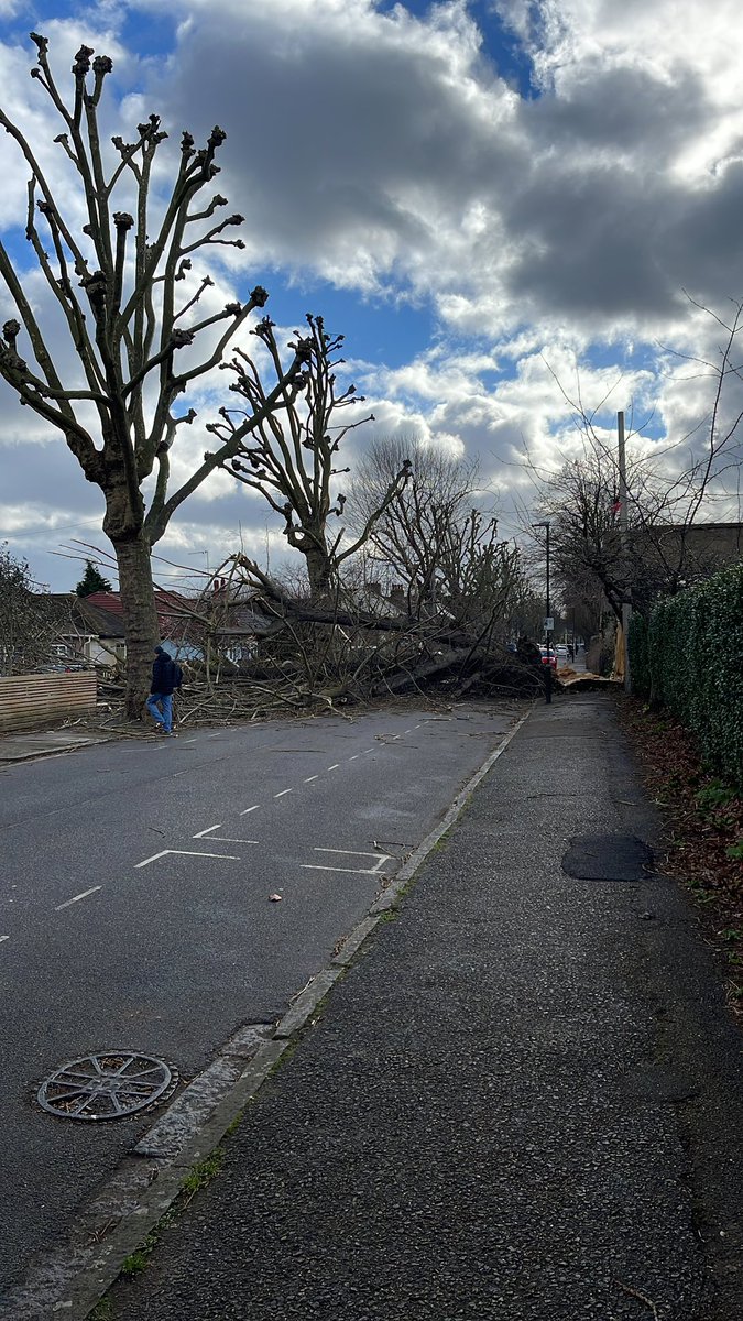 TaraWhyte2's tweet photo. @MPSRichmond North Road, Kew https://t.co/ANrifeZUNn