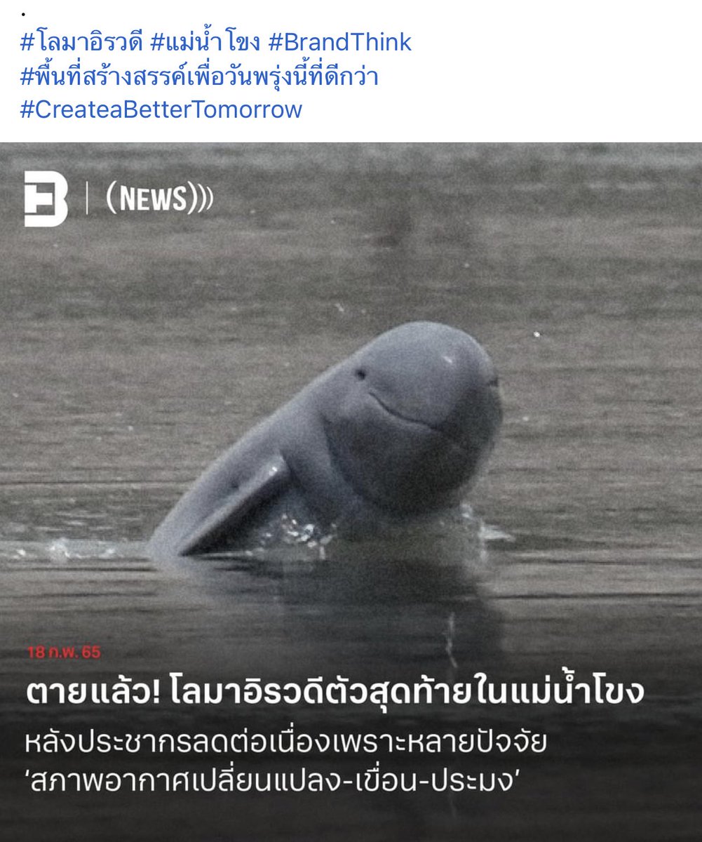 จีน มึงเห็นไหมว่าการสร้างเขื่อนต้นน้ำมันกระทบขนาดไหน 😭 น้องสูญพันธุ์แล้วอ่ะ😭