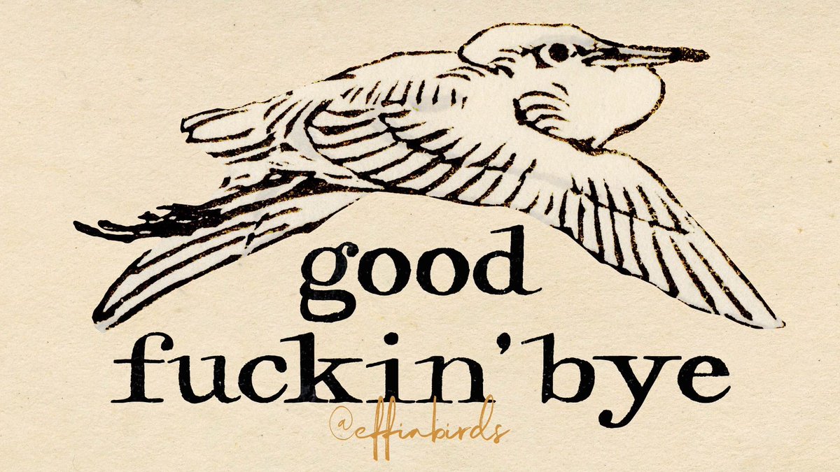 Effin' Birds tweet media