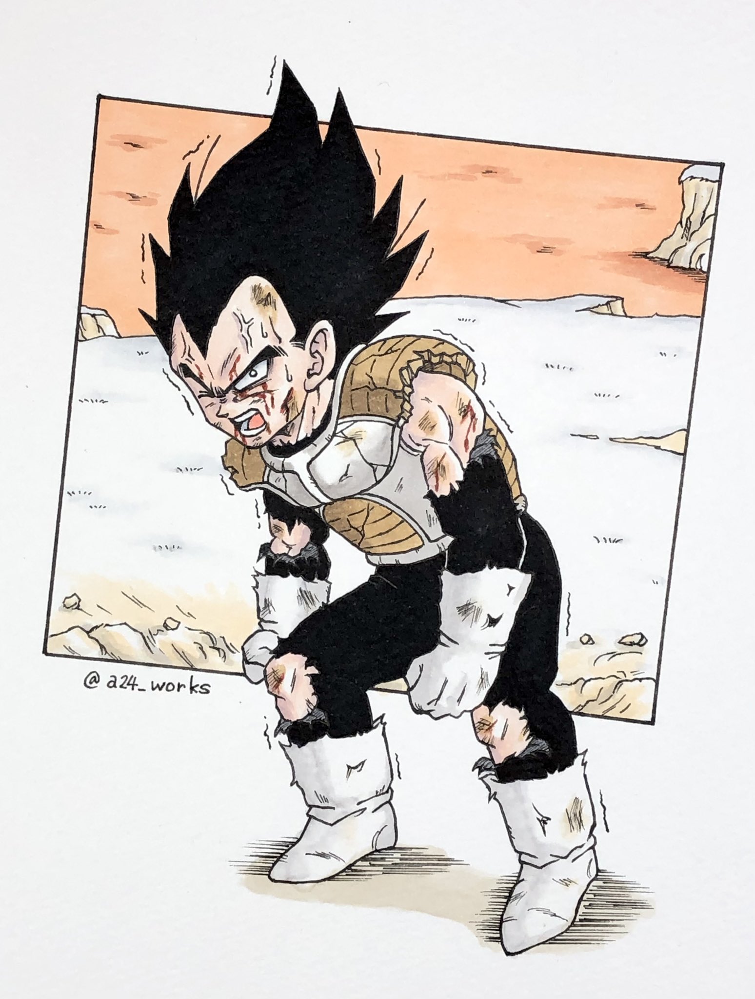 大幅値下　ドラゴンボール　セル画　直筆動画　マロン　鳥山明　アニメ　漫画 大幅値下 ドラゴンボール セル画 直筆動画 マロン 鳥山明 アニメ