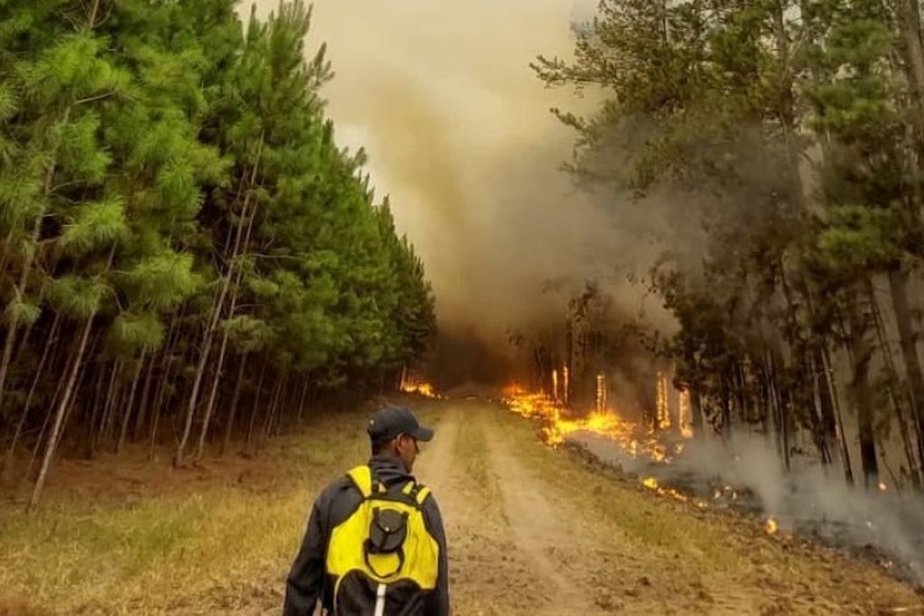 turisargentina's tweet photo. La provincia de Corrientes está siendo arrasada por los incendios, perdiendo casas, accesos, animales, vegetación y los grandes humedales del país. 

#SalvemosCorrientes #SOSCorrientes https://t.co/1s8pcdGSQy