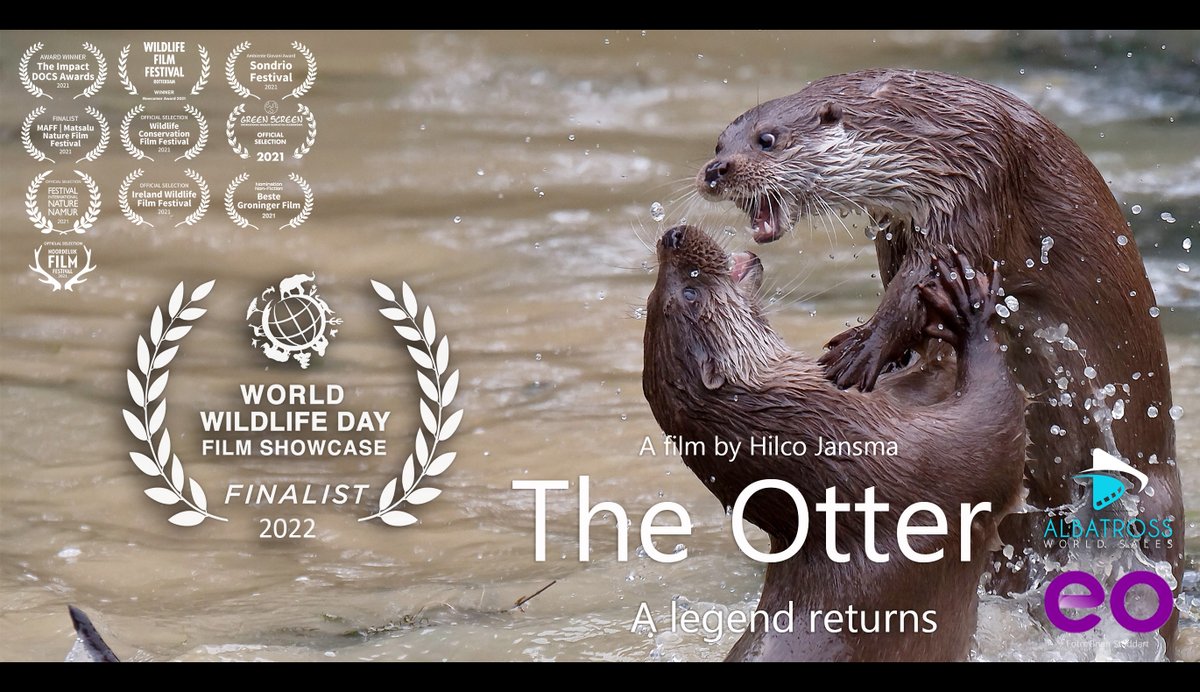 Hilco Jansma (@hilcojansma) on Twitter photo Mijn film 'De #otter, een legende keert terug' is genomineerd <a href="/JacksonWild/">Jackson Wild</a>'s #WorldWildlifeDay 🌎 #film show case - ‘Recovering key species for ecosystem restoration’😀🦦
jacksonwild.org/recoveringspec… Mijn film 'De #otter, een legende keert terug' is genomineerd <a href="/JacksonWild/">Jackson Wild</a>'s #WorldWildlifeDay 🌎 #film show case - ‘Recovering key species for ecosystem restoration’😀🦦
jacksonwild.org/recoveringspec…
