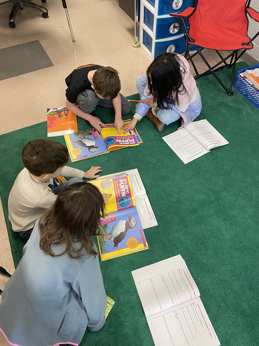 First grade researchers! #birdexperts <a href="/LisaSnider84/">Lisa Snider</a> @WesterfieldSTE <a href="/STE_Stallions/">Stewartsboro Elementary</a>
