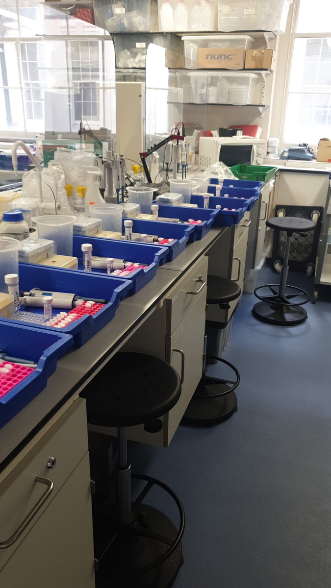 <a href="/csaoris/">Carolina Saori Mauro</a> <a href="/UoR_LifeScience/">UR Life and Health Sciences</a> <a href="/NutritionRoe/">Nutrition@Roehampton</a> Despite the storm, we managed to prepare all trays for next Monday exciting Food Science practical 👌