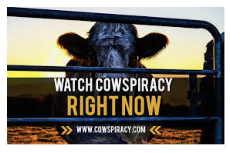 S_Catsgotmyback's tweet image. I have Cowspiracy on in the background right now. The part with the kids and the pigs in the forested piece of paradise is so heartbreaking. Imagine how betrayed and terrified those pet-like pigs felt when they were callously delivered to a slaughterhouse.
#HumaneSlaughterIsAMyth