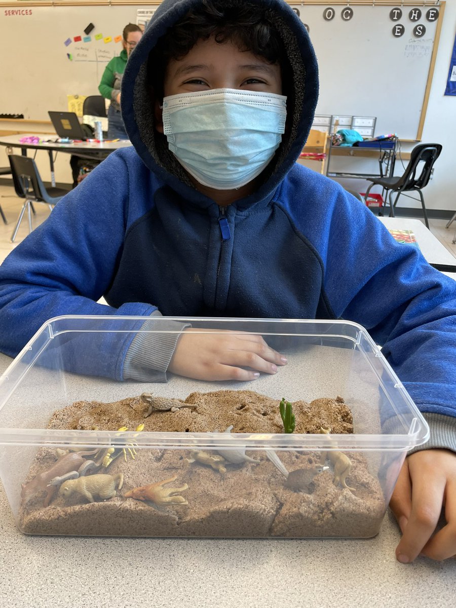 mrswalshsped's tweet photo. Explored our sensory bin habitats to find the animals that live there 🐙🐻🐍 https://t.co/r6HwcFoMBk