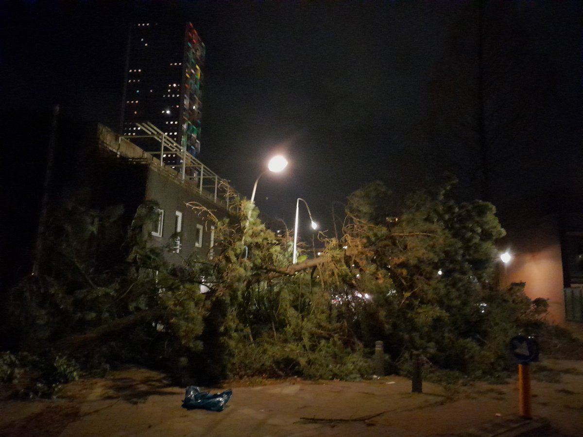 Het loopt hier storm met vallende bomen! Fietspad na tunnel gestremd en straat volledig afgesloten. #Eunice #CodeRood #Tilburg