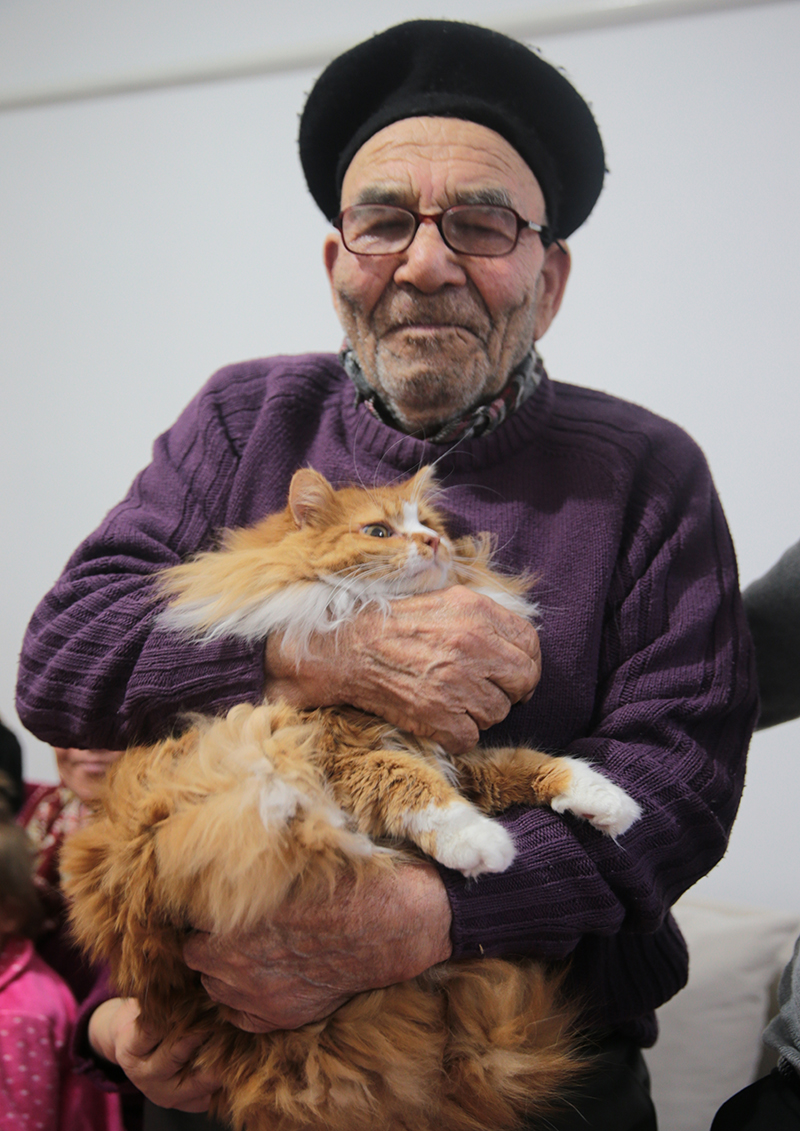 4 yıl önce Ali Dede ile birlikte yangından kurtulan kediyi hatırladınız mı?
bit.ly/3GZ61Wb