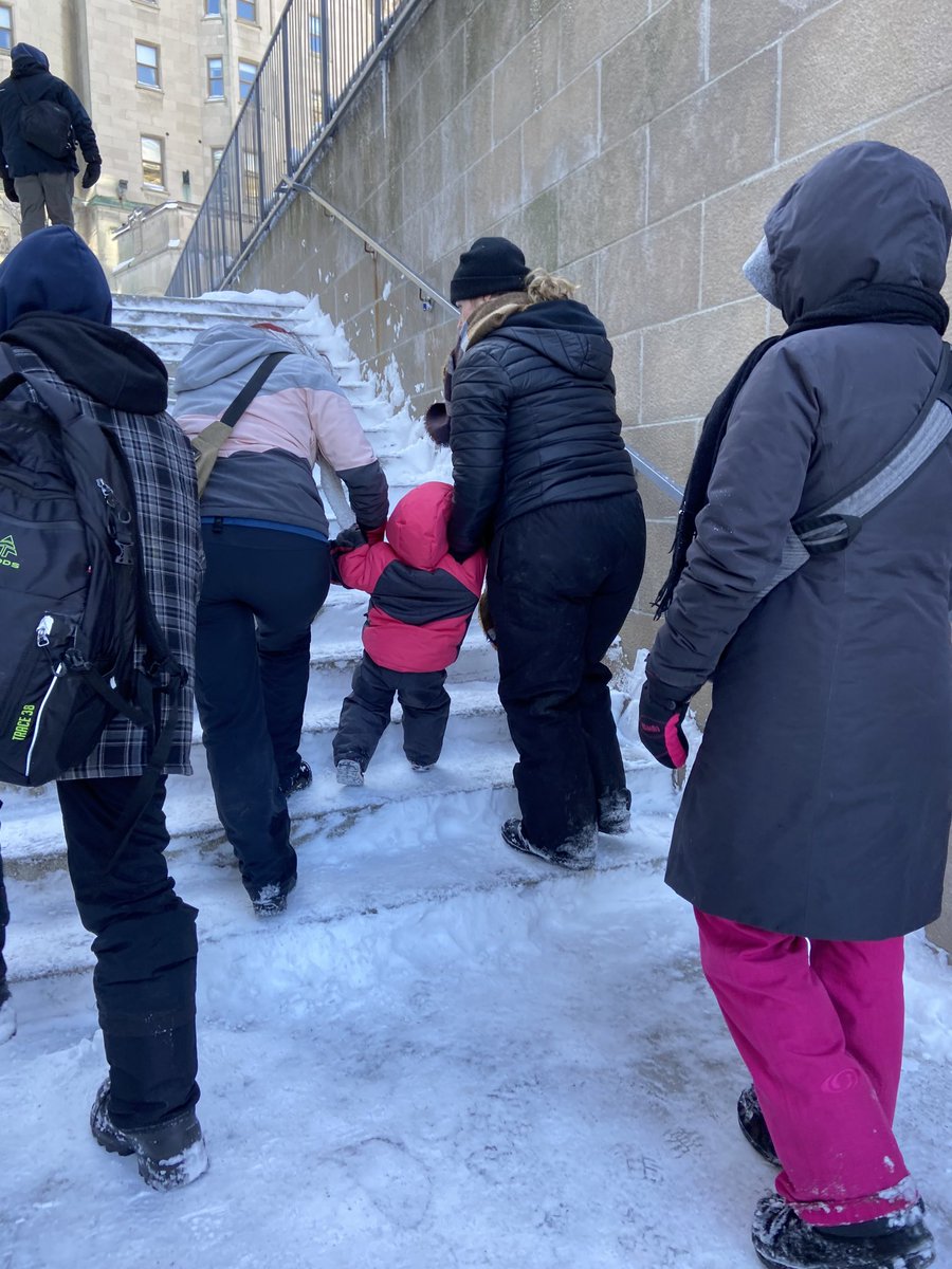 Evan Solomon tweet media