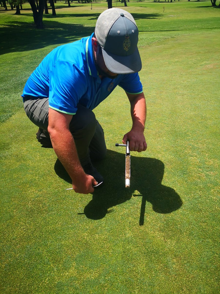 bw_fusion's tweet photo. 50/50 mix of Environoc 401 and Environoc 501 producing some great results on greens! ⛳ https://t.co/UTuCgfifkE