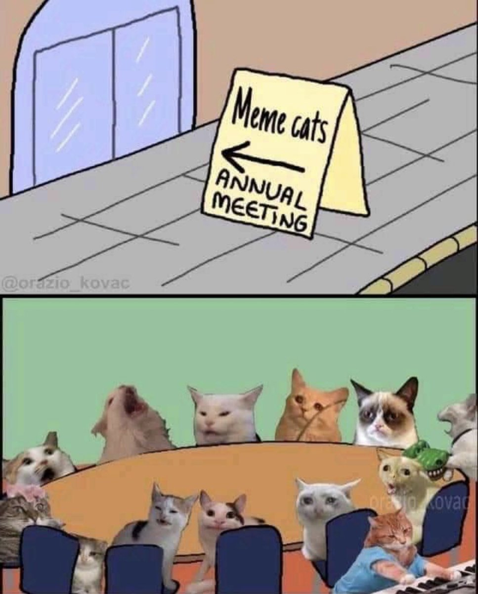RespectfulMemes's tweet photo. https://t.co/V6xaqZS46F