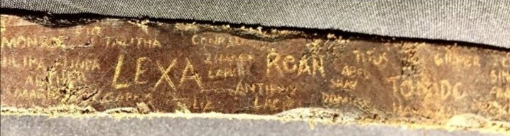 💭 (@lexathinker) on Twitter photo 